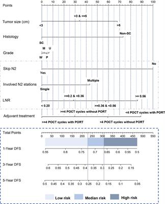 Lymph Node Parameters Predict Adjuvant Chemoradiotherapy Efficacy and Disease-Free Survival in Pathologic N2 Non-Small Cell Lung Cancer